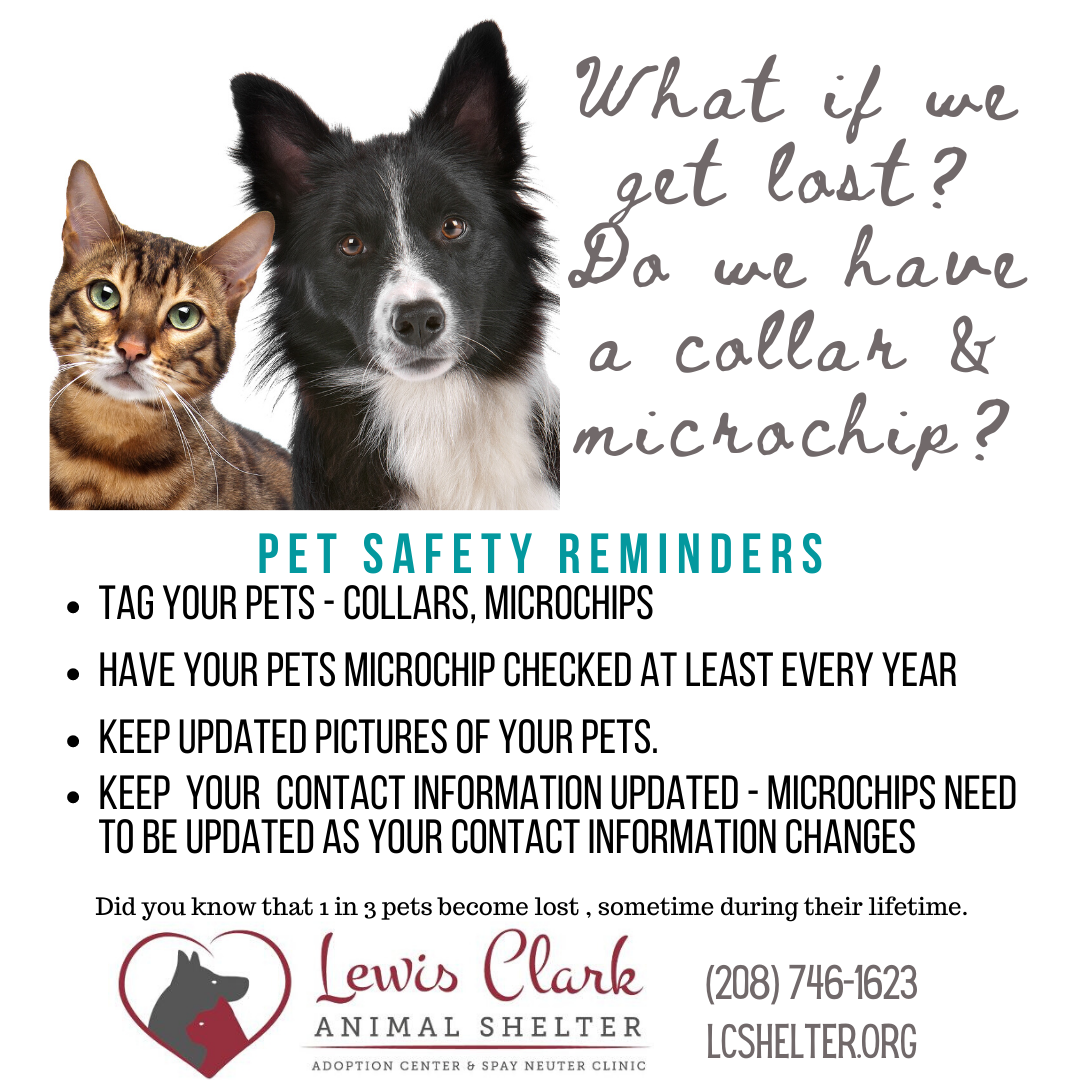 Microchipping at Lewis Clark Animal Shelter | Lewis Clark Animal Shelter