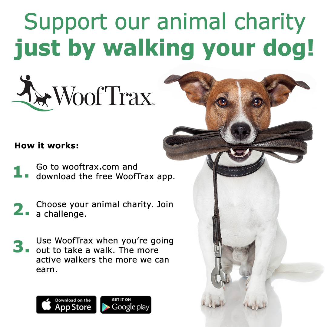 Walk for the Dogs with WoofTrax! | Lewis Clark Animal Shelter